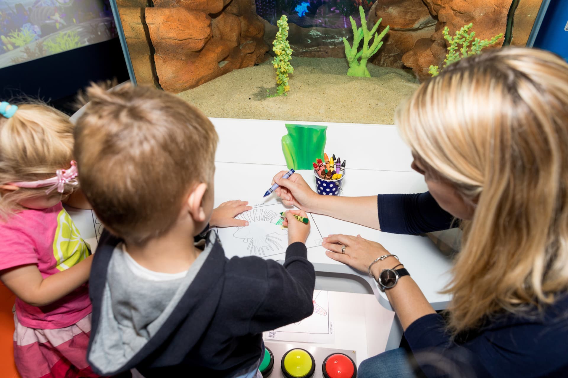 Auckland SEA LIFE Kelly Tarlton's Aquarium Ticket - image 11